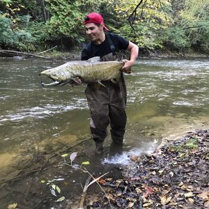 Meet your Posher, Frank